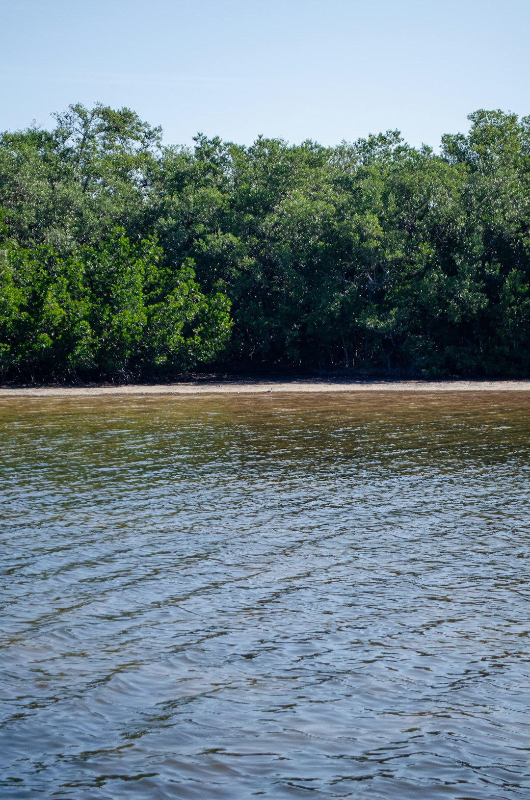 Sanibel Island: Florida's Seashell Capital of the World Guide