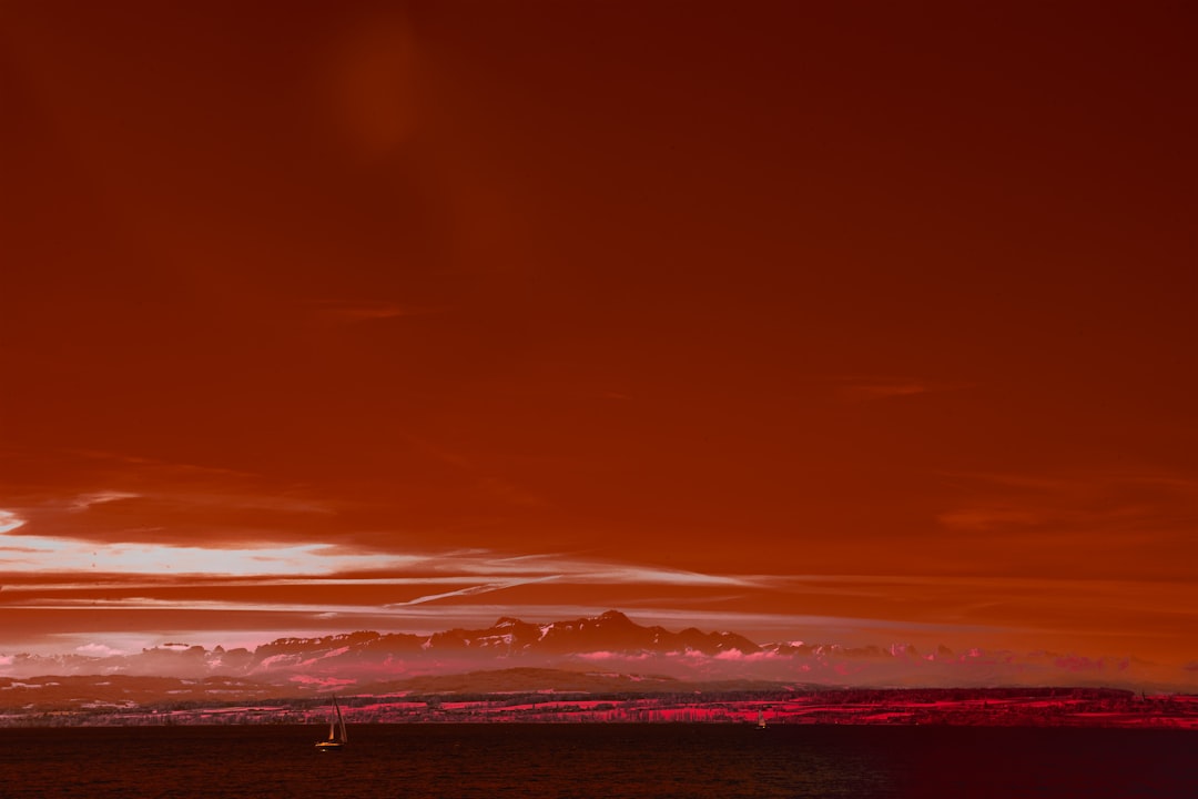 Scarlets' Travel Nightmare: Rugby Team's Epic Struggle