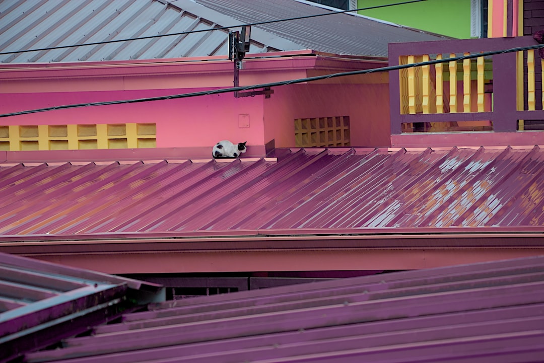 SCG Solar Roof Pantip Review: Expert Insights on Costs & Installation