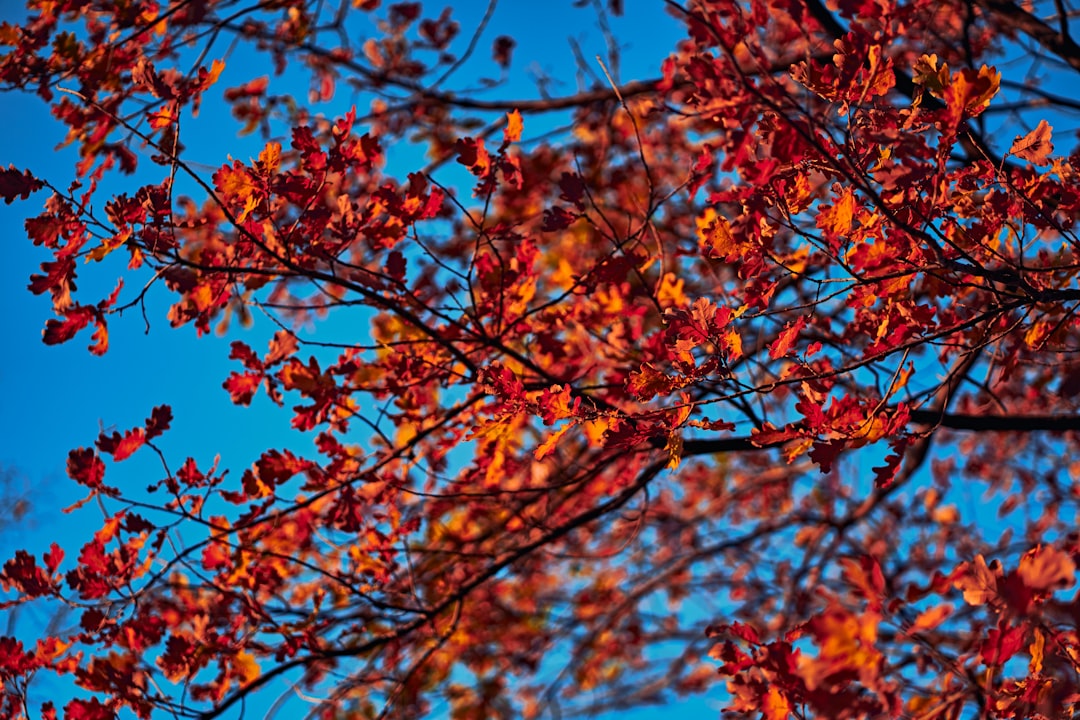 Score Amazing Fall Travel Deals Before They're Gone!