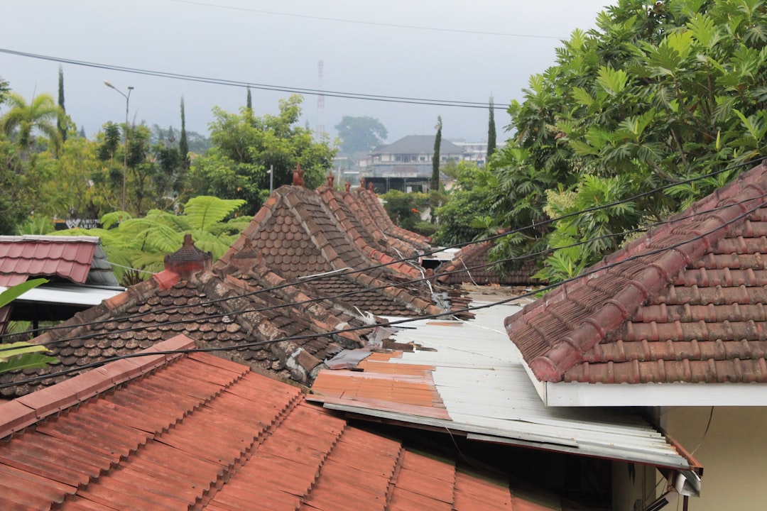 Shelter Insurance Roof Claims: A Contractor's Guide to Storm Damage Success