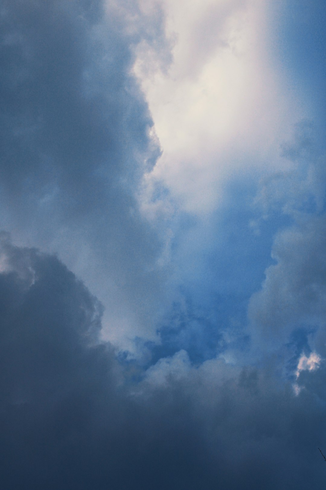 Shingle Damage Insurance Claims: Expert Roof Repair Guide