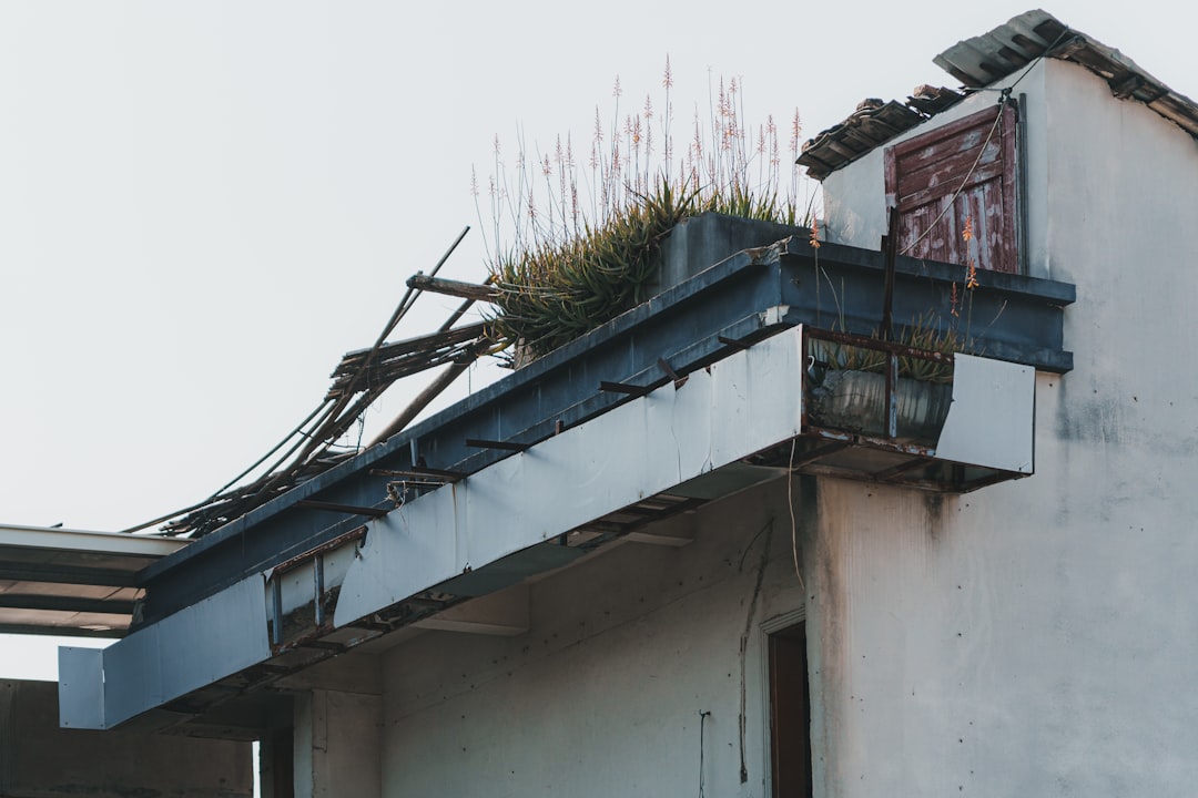 Shingle Damage Insurance Claims: Roof Repair & Storm Recovery