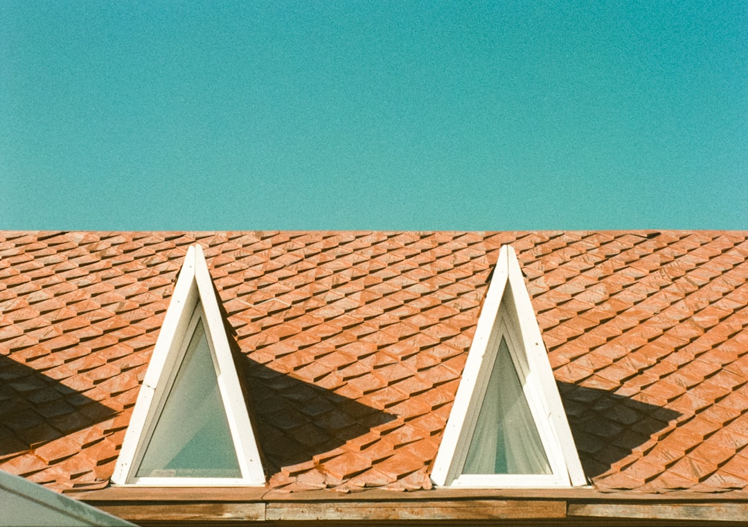 Shingle Roof Repair Coatings: Expert Guide & Cost Savings