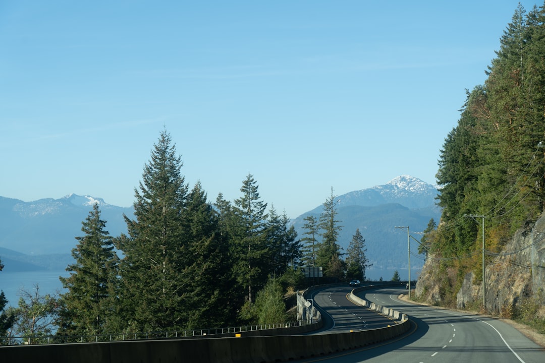 Sierra Snow Survival: Highway Chain Controls Explained