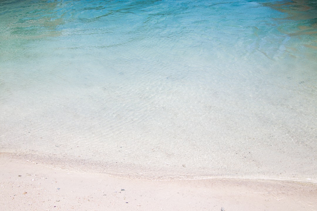 Siesta Key Vacation Rentals Sarasota FL: Beach Homes Guide