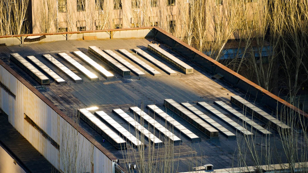 Skylight Installer Near Me - Expert Roofing & Installation Guide