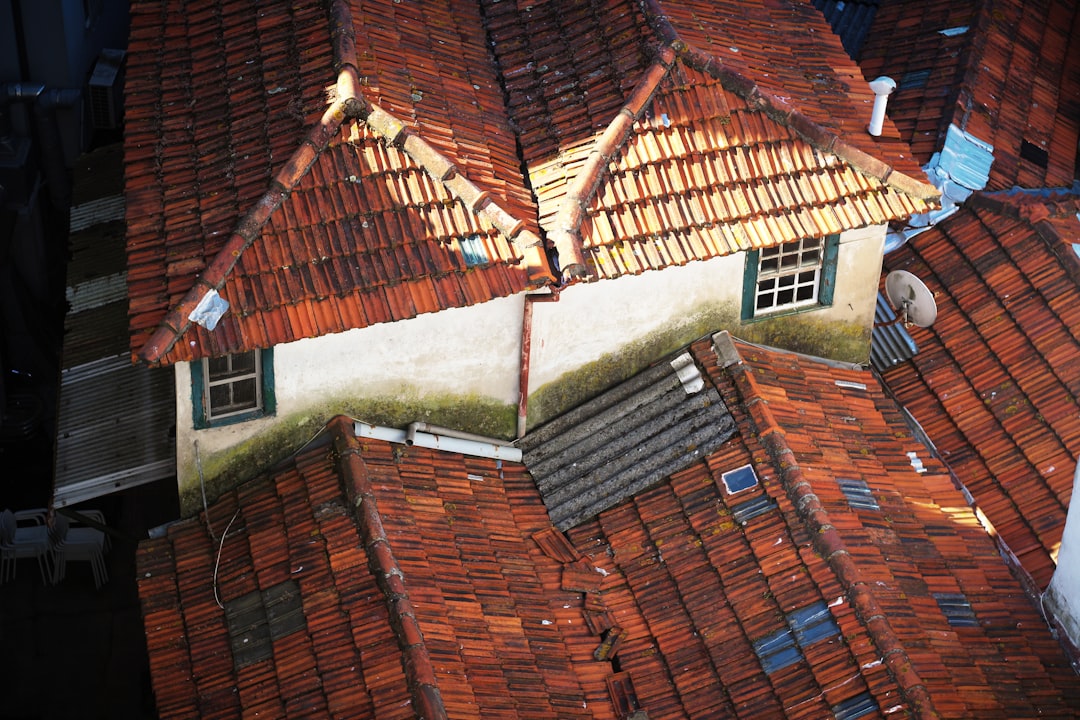 Small Roof Repair Cost Guide: Real Prices & Contractor Tips