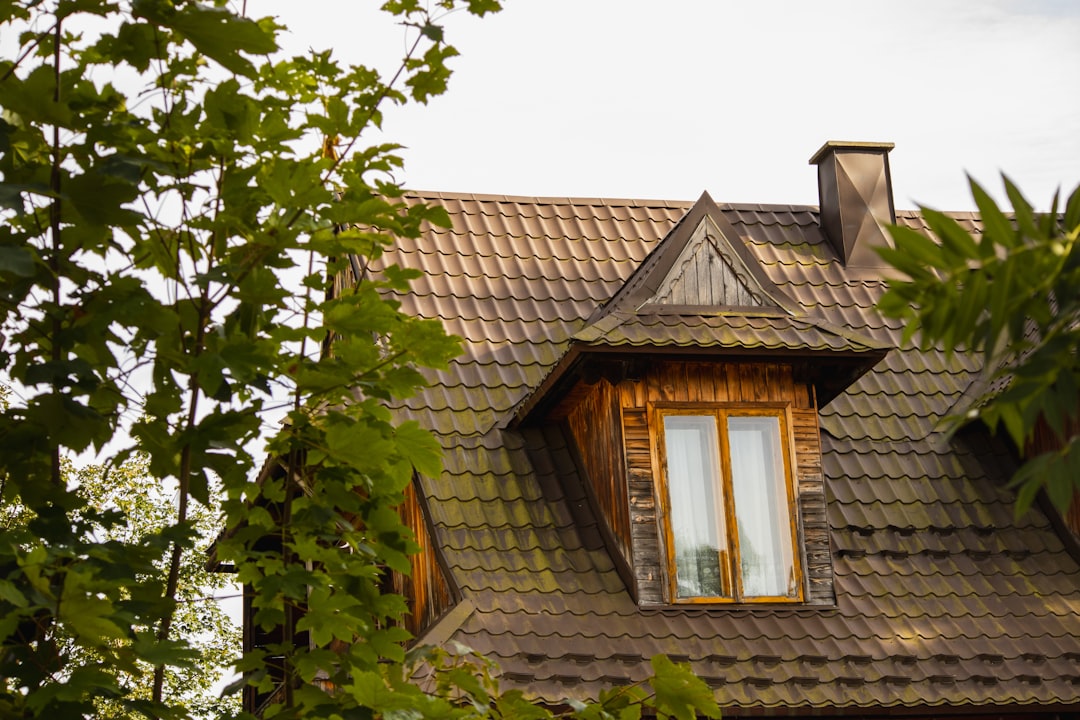 Smart Ways to Finance a New Roof: Homeowner's Guide