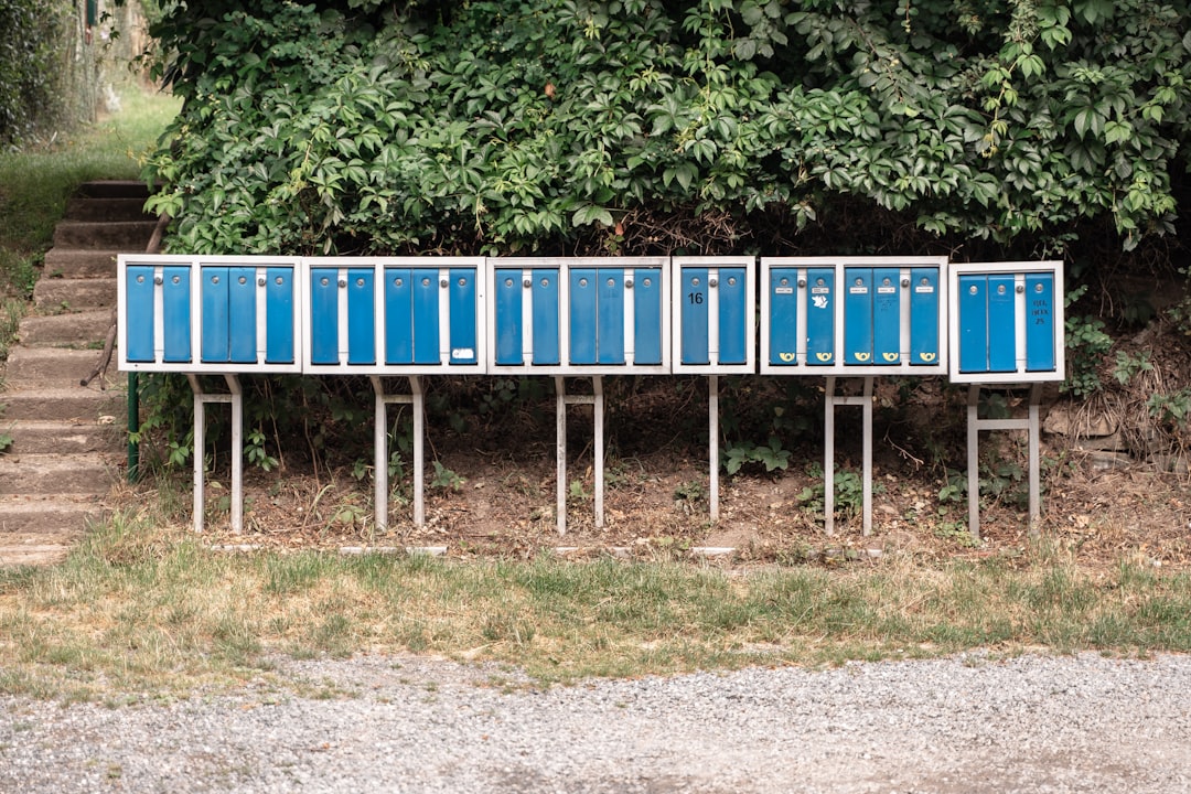 Solar on North Facing Roof: Installation Guide & Efficiency Tips