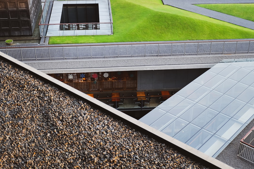 Solar on Shed Roof: Installation Guide & Cost Savings