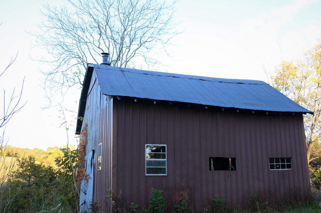 Solar Panel Shingled Roofs: Complete Guide for Homeowners on Costs & Installation