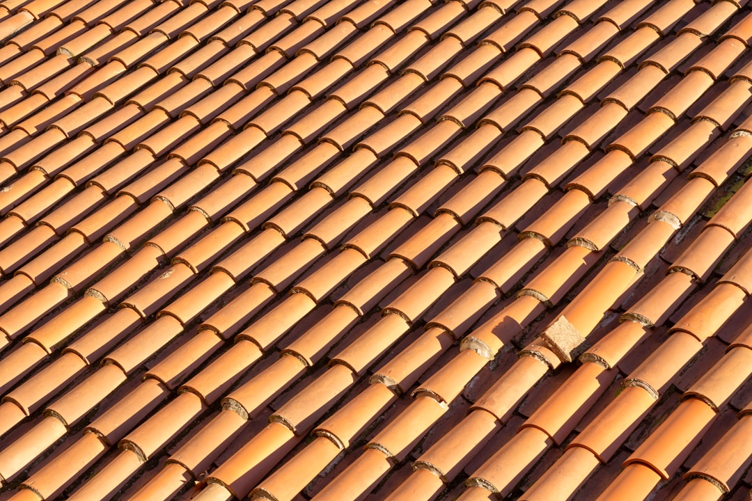Solar Panels as Roof Covering: Complete Guide to Energy & Protection