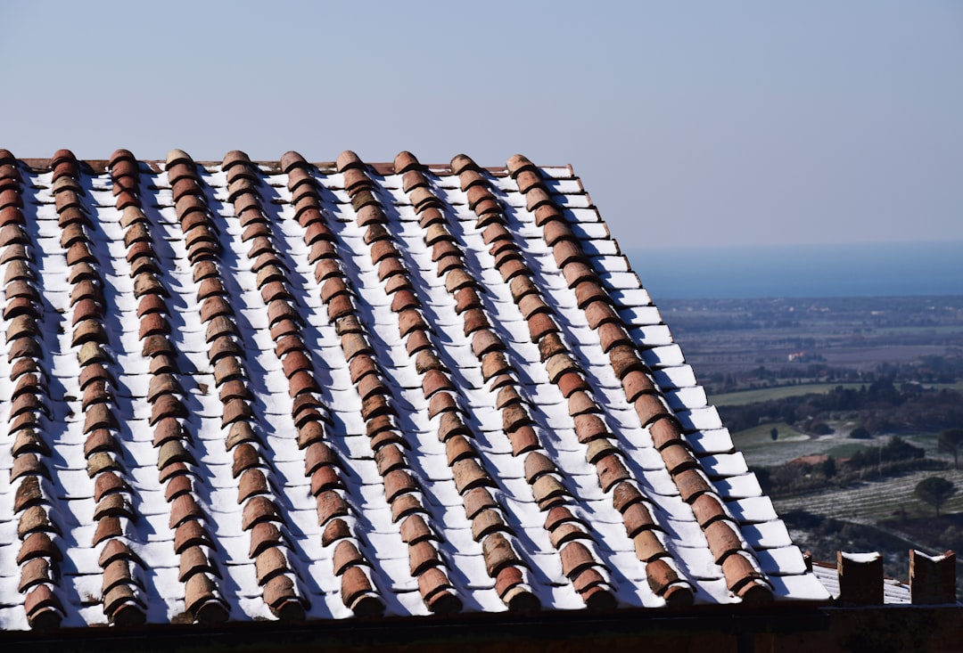 Solar Panels South East Facing Roof: Maximizing Energy & Roof Protection