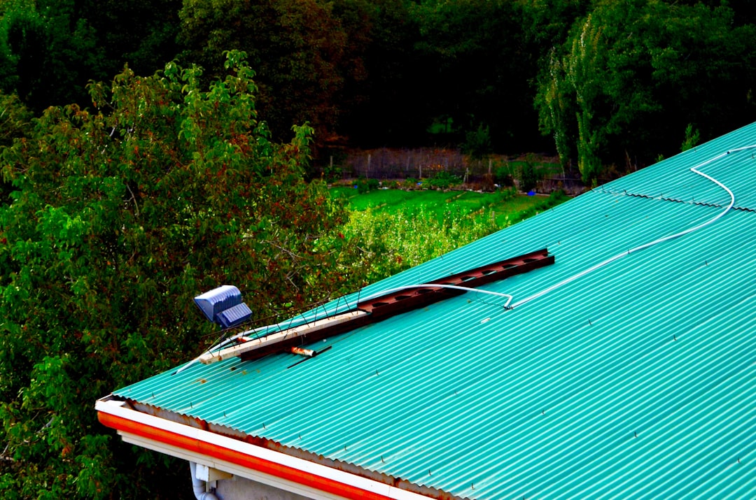 Solar Panels That Look Like Roof Shingles: Complete Guide for Homeowners