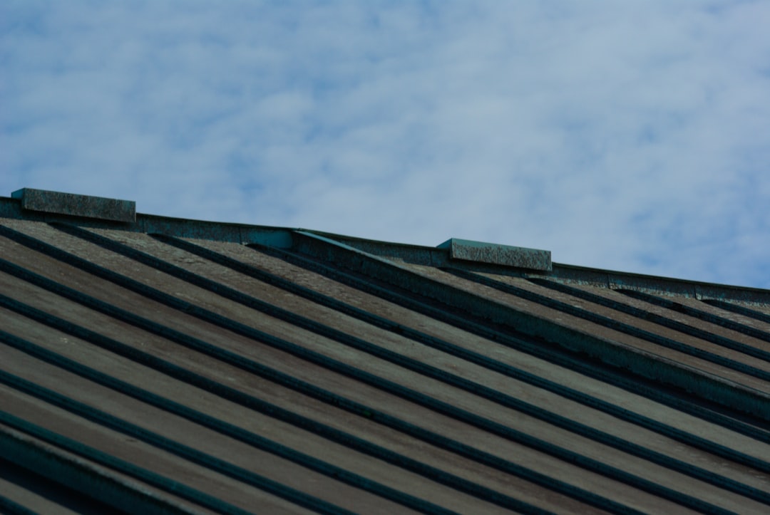 Solar Panels That Look Like Tiles: Energy Savings & Roof Protection