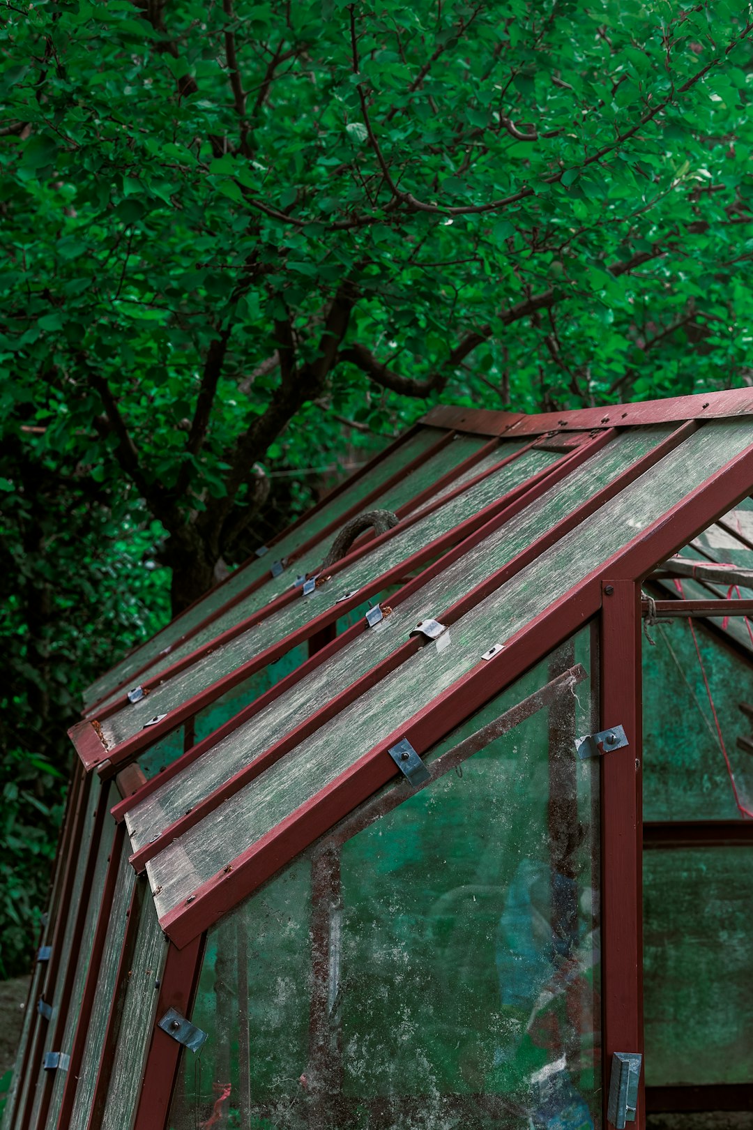 Solar Roofers Near Me: Expert Installation & Energy Savings