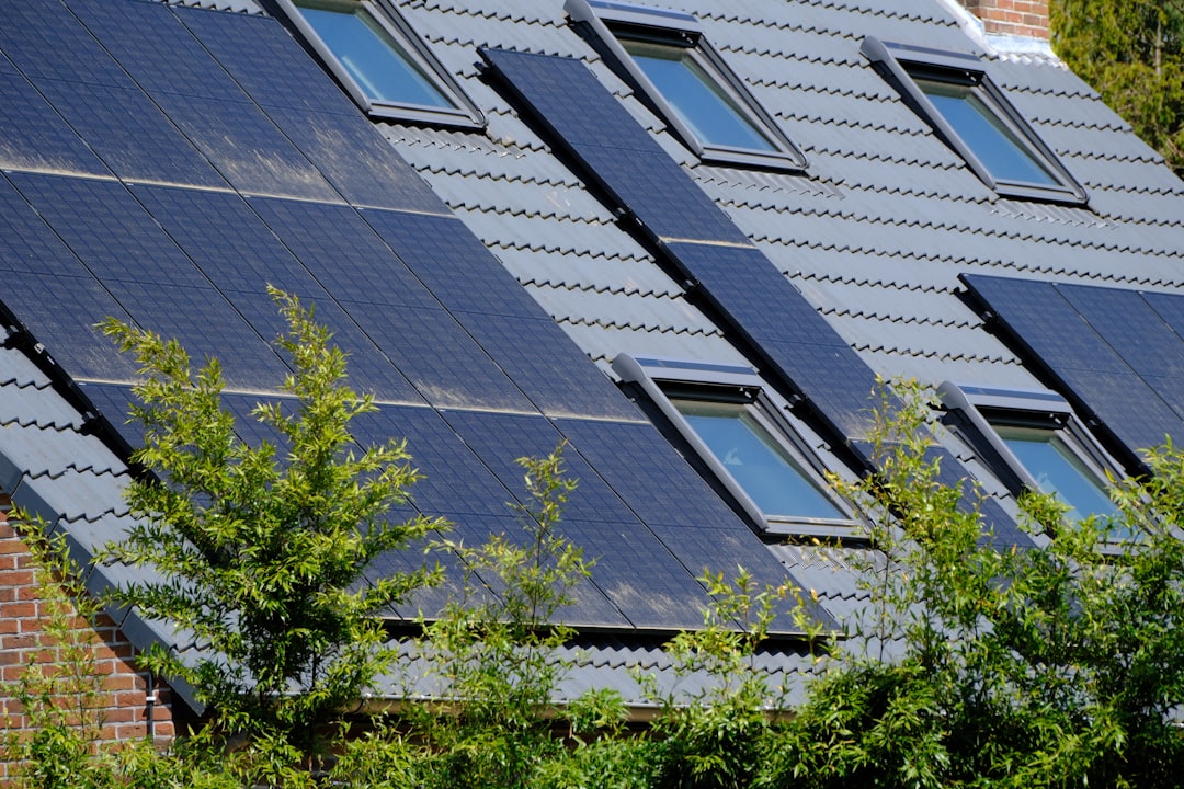 SolarCity Roof Guide: Solar Shingles & Energy Savings