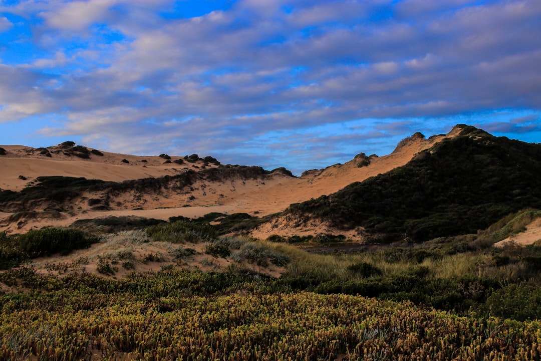 Southwest Vacations: Desert Adventures & National Parks