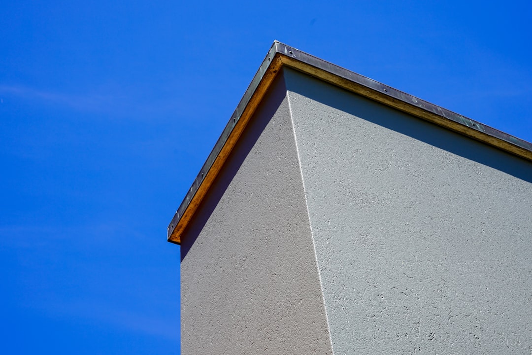 State Farm Adjuster Roof Claims: Expert Guide for Homeowners