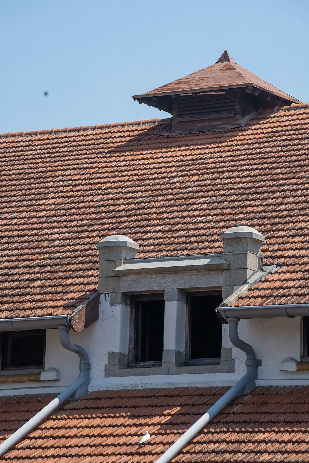 State Farm Hail Damage Roof Insurance Claims: Expert Guide & Repair Tips