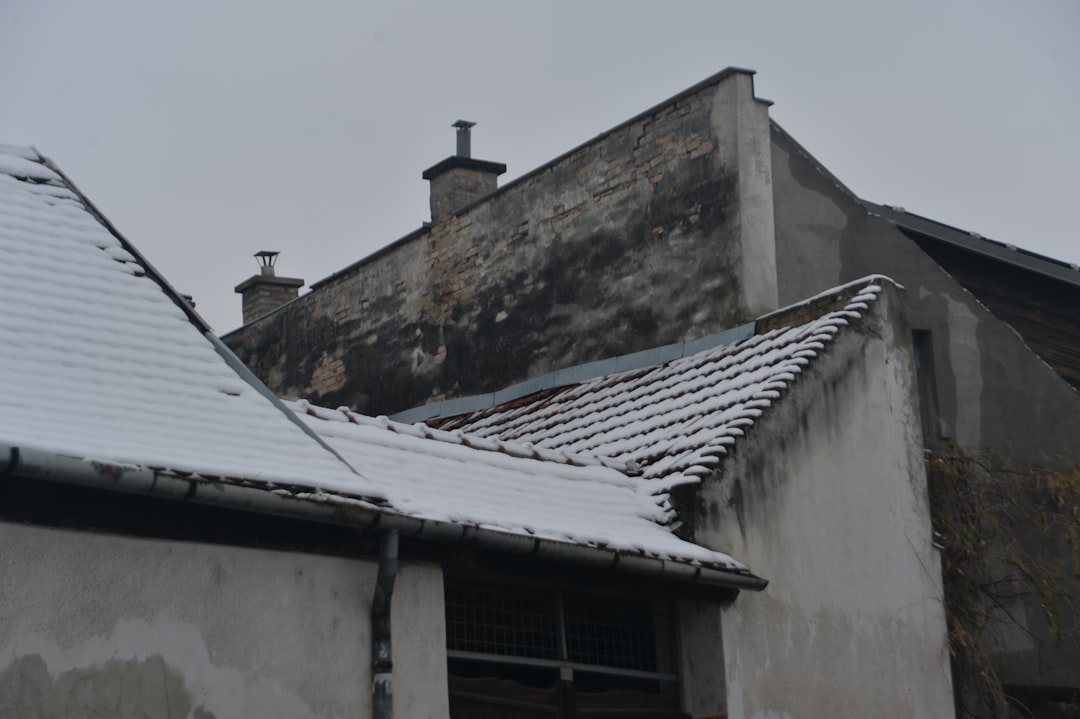 Storm Damage Roof Repair Near Me: Expert Guide & Insurance Tips