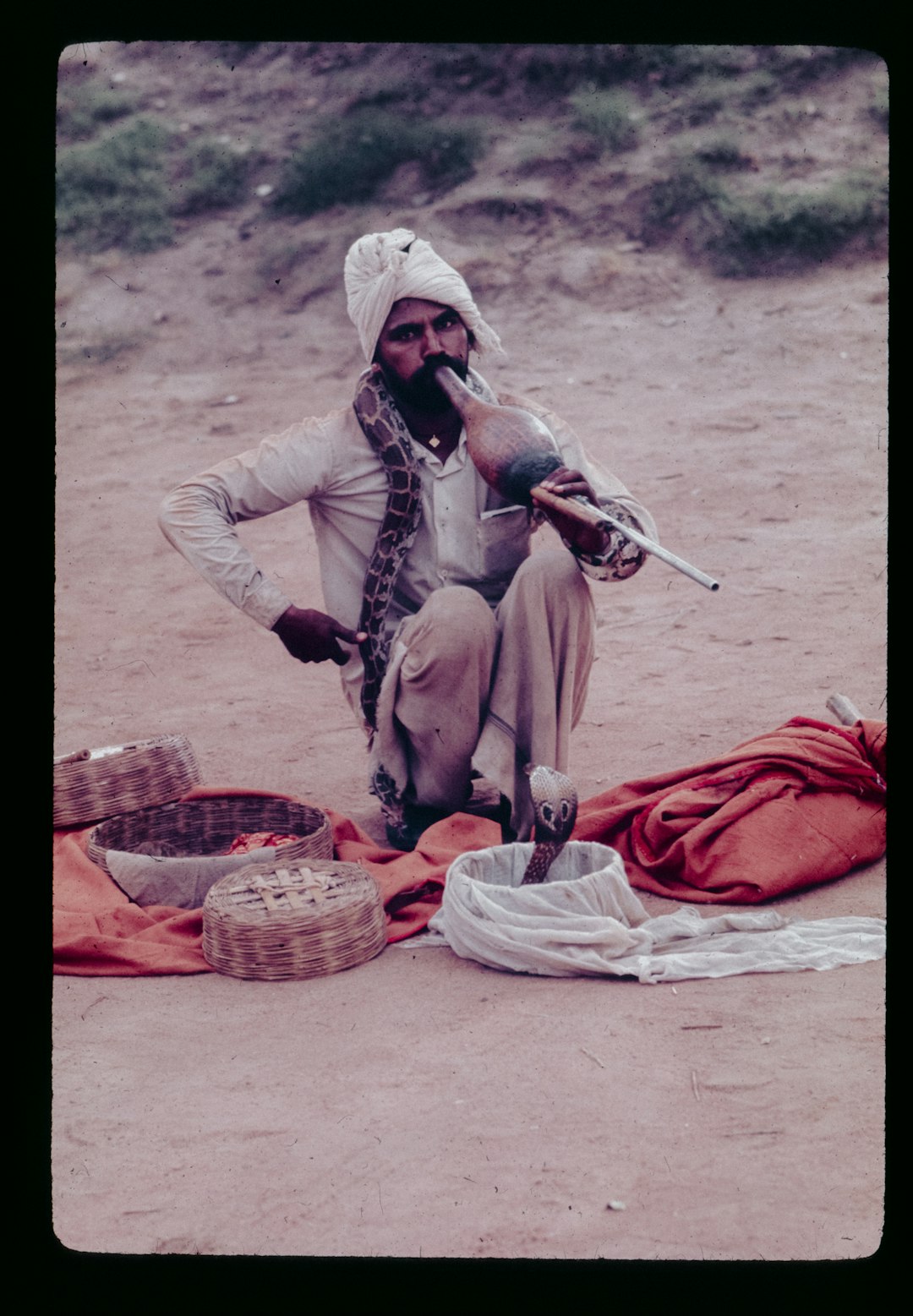 Taliban FM's India Visit: What It Means for Peace