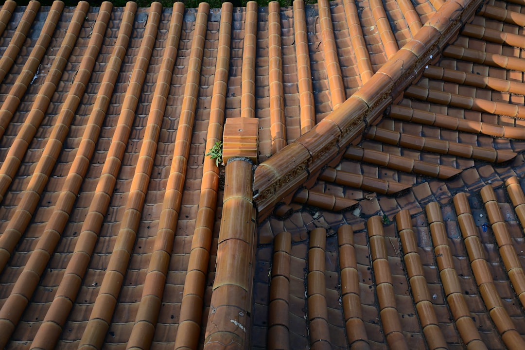 The Roof Repair Guys: Expert Insights on Quality Repairs & Materials