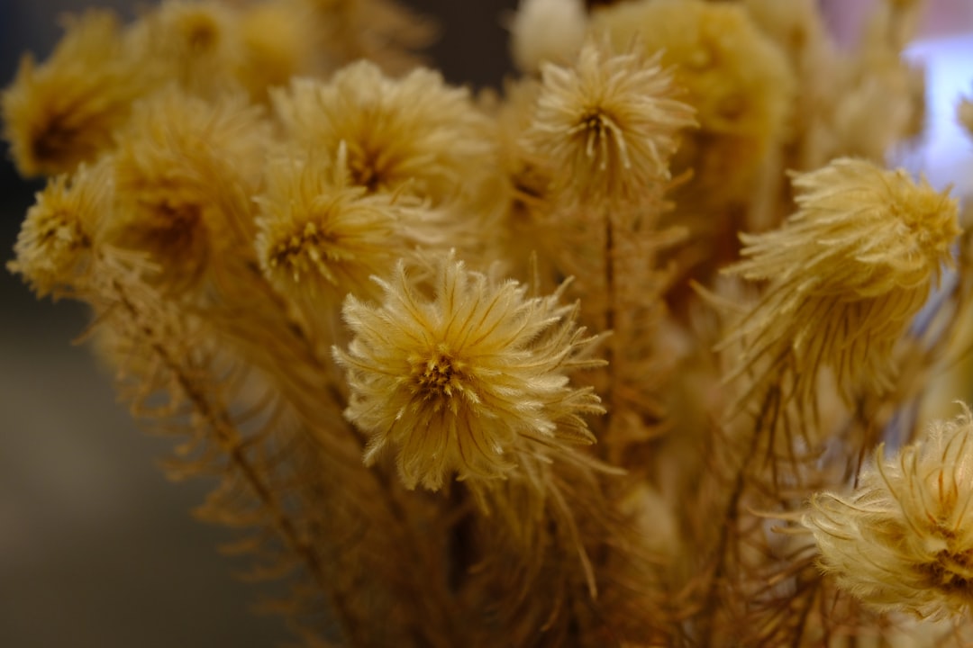 Thomas Beach Vacations: Ultimate Guide to Florida's Hidden Paradise