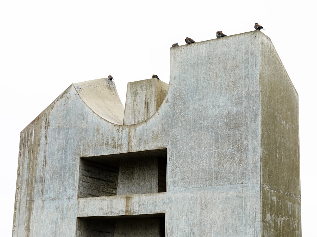 Tile Roof Repairs Gold Coast: Expert Guide for Homeowners & Storm Damage