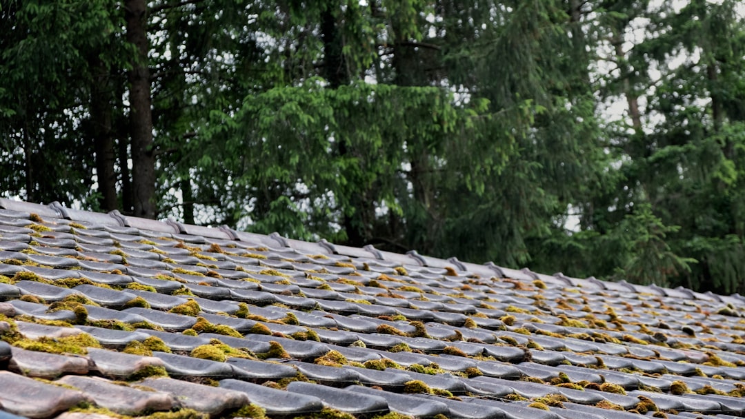 Timberline Solar Roof Review: Energy Savings & Installation Guide