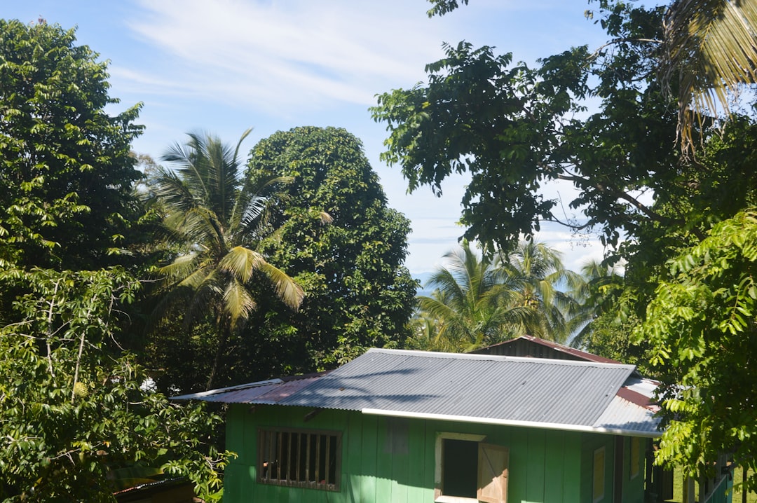 Timberline Solar Roofing: Energy Savings & Durable Protection