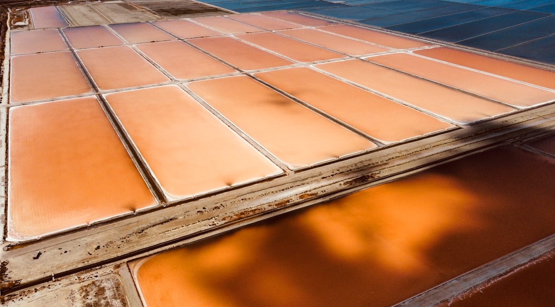 Timberline Solar Shingles: Complete Guide for Homeowners on Energy Savings