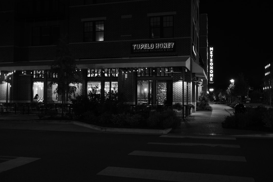 Tiny Dog's Europe Trip Goes Viral: What Really Happened