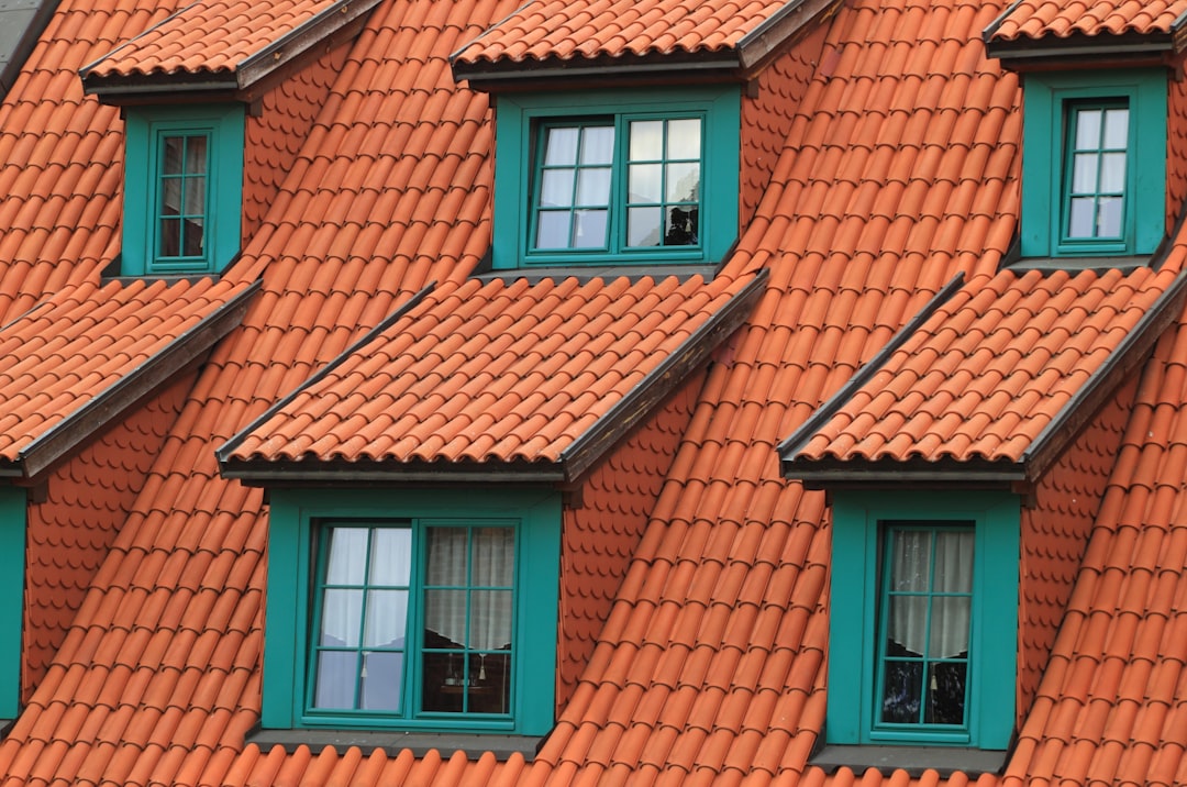 Total Roof Maintenance Guide: Prevent Costly Repairs