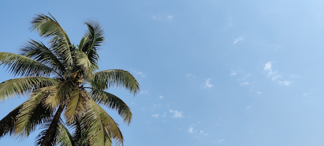 Travel Agent Scandal: 6 Customers Seek Refunds for Canceled Trips