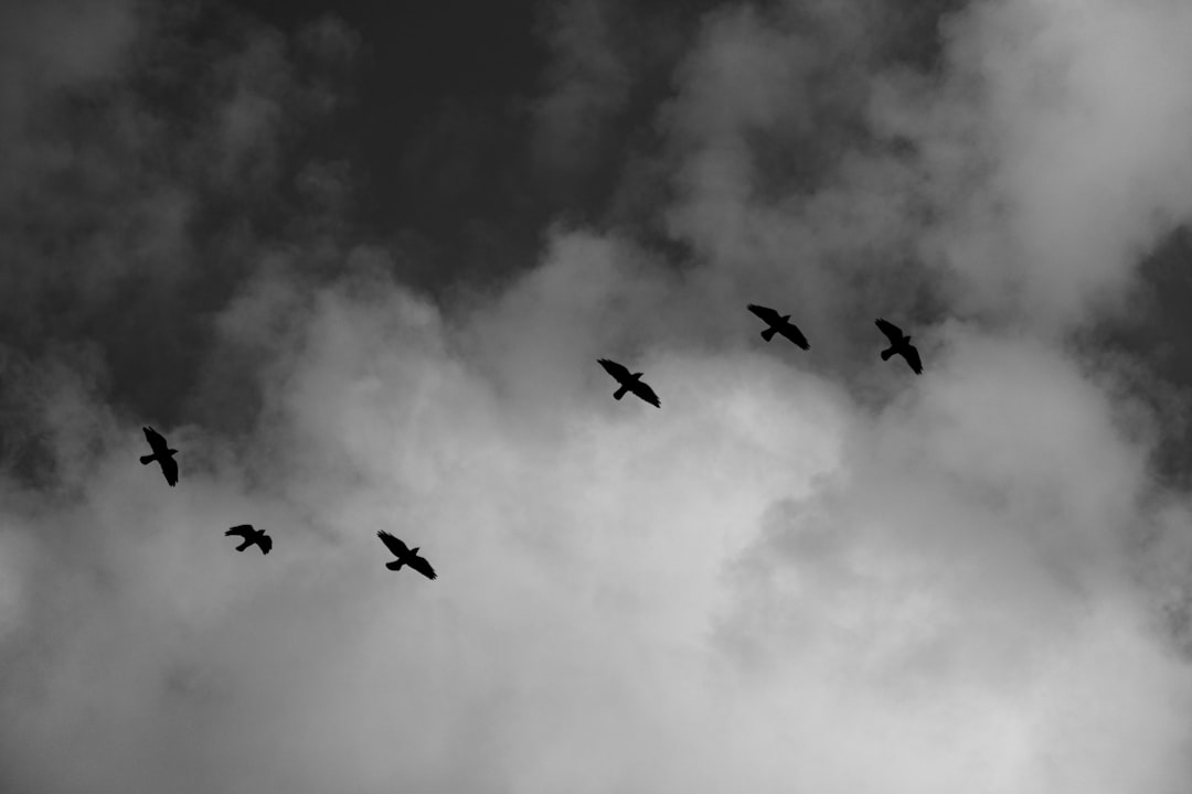 I'm a Travel Writer Afraid of Flying - This Tool Helped