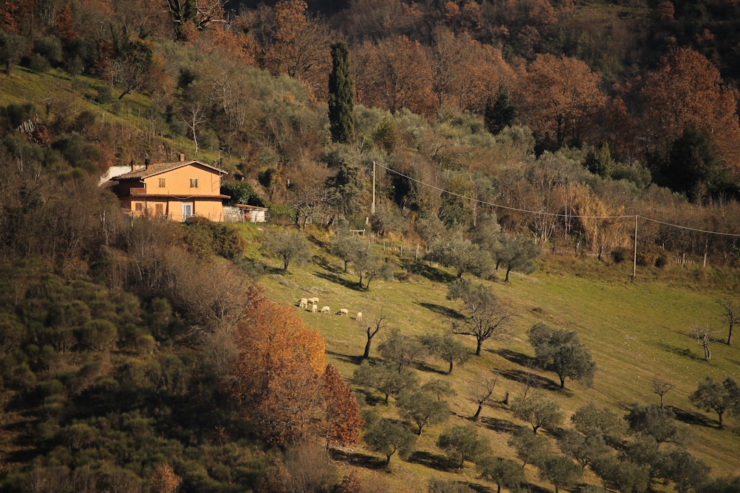 Tuscany Pays You $23K to Move to Dream Village