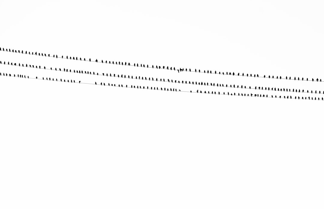 UC Travel Secrets: Hertz, Delta & Marriott Deals Revealed!