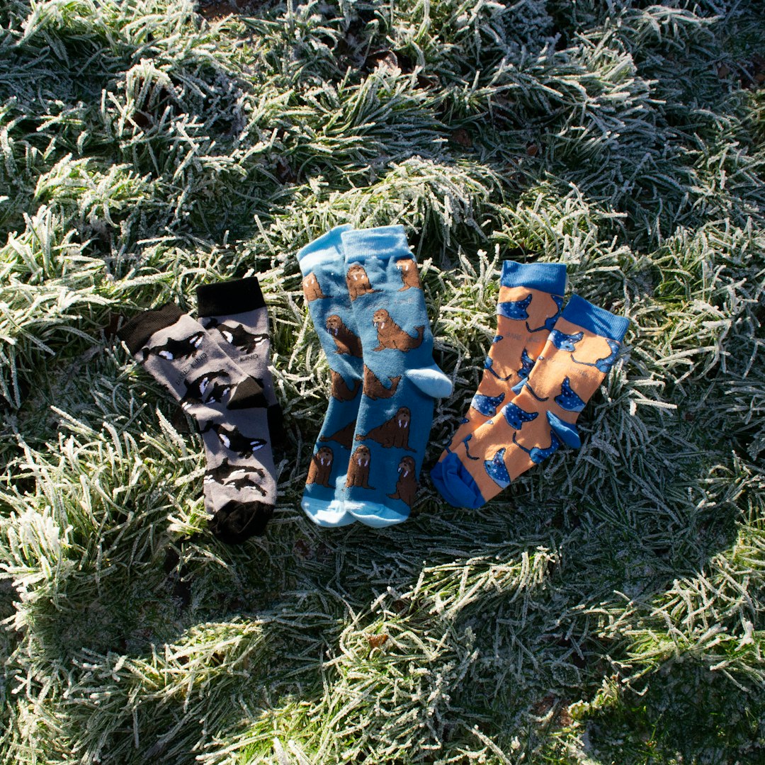 Ugg Boots Secret: Why Experts Love Them for Winter Travel