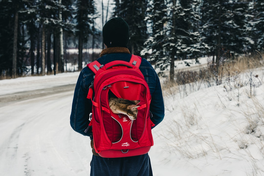 Ultimate 16in Travel Backpack: Your Perfect Adventure Companion