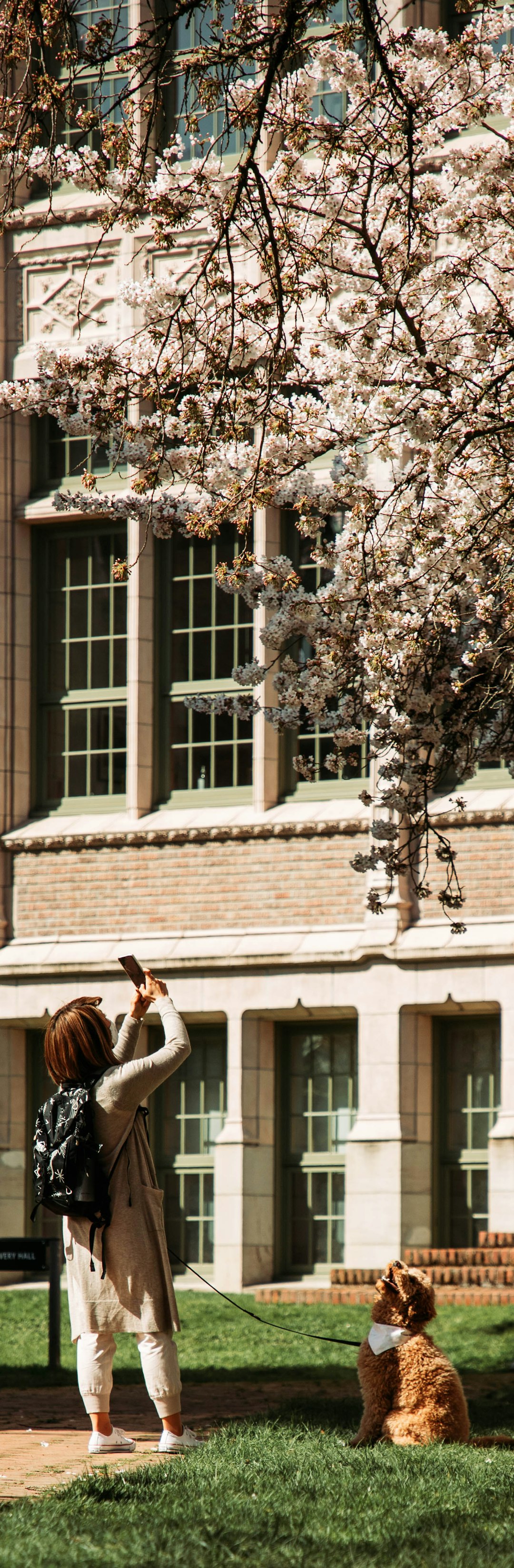 University of Oregon Travel Office Updates Partnership Services