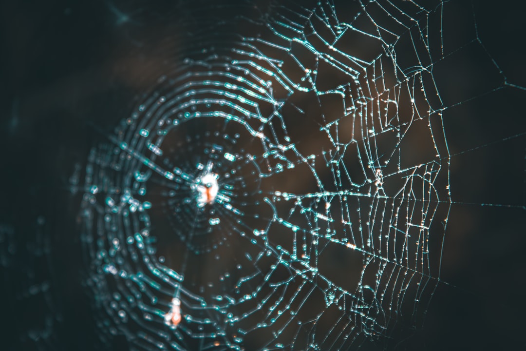 US Travelers Face Fingerprint Scans After Flights