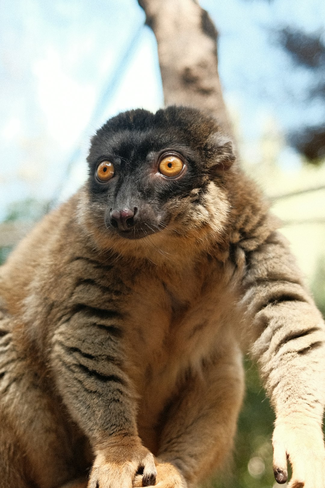 US Warns Tourists: Reconsider Visiting This Wildlife Paradise