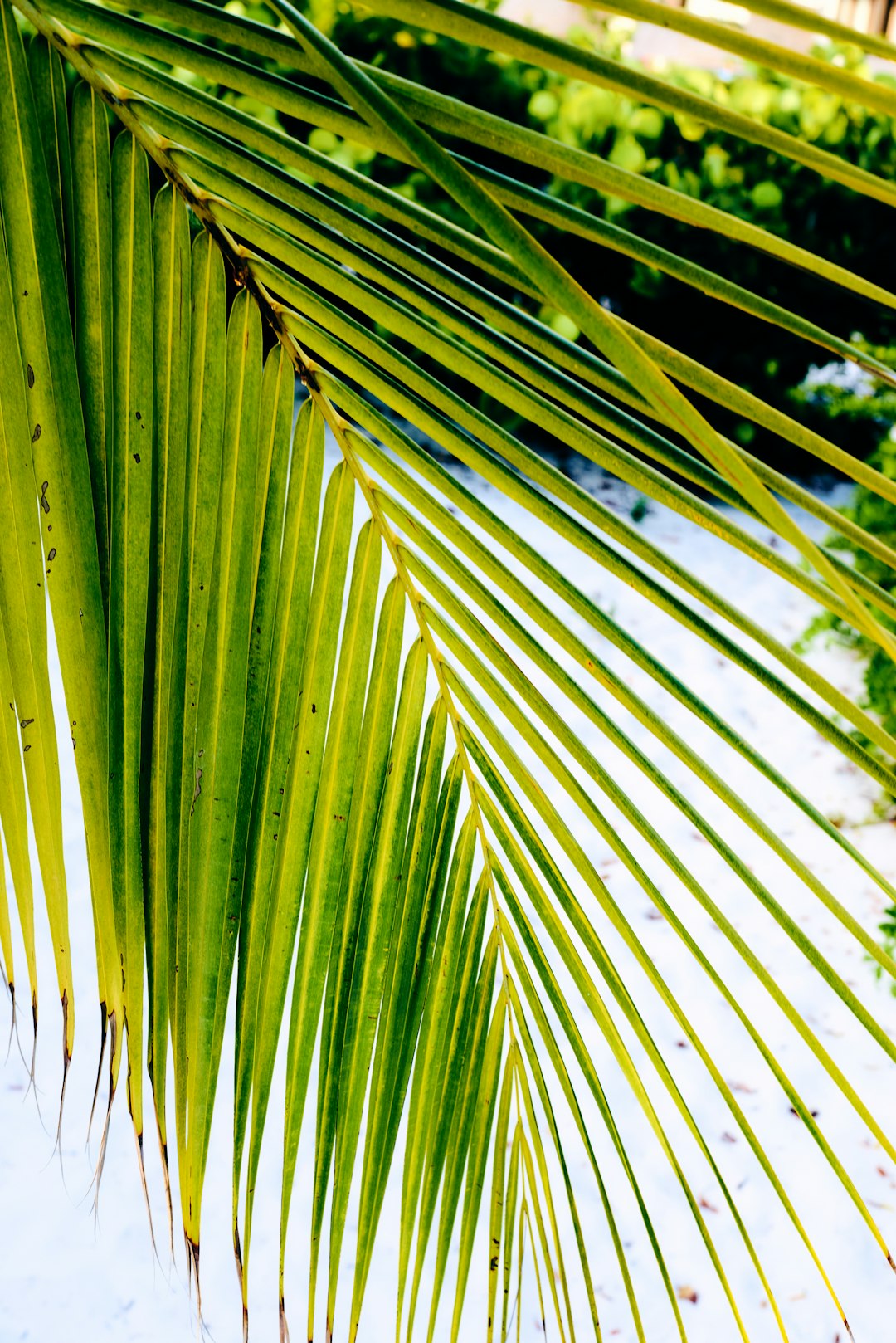 Vacation Beach Nail Designs: Tropical Manicure Ideas & Summer Nail Art