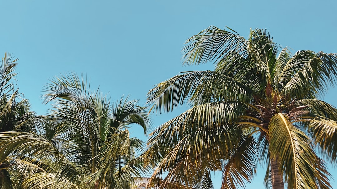 Vacation Cancun All Inclusive: Ultimate Guide to Luxury Beach Resorts