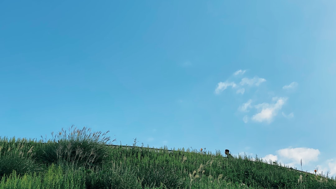 Vacation Home Breckenridge: Mountain Retreat & Ski Paradise