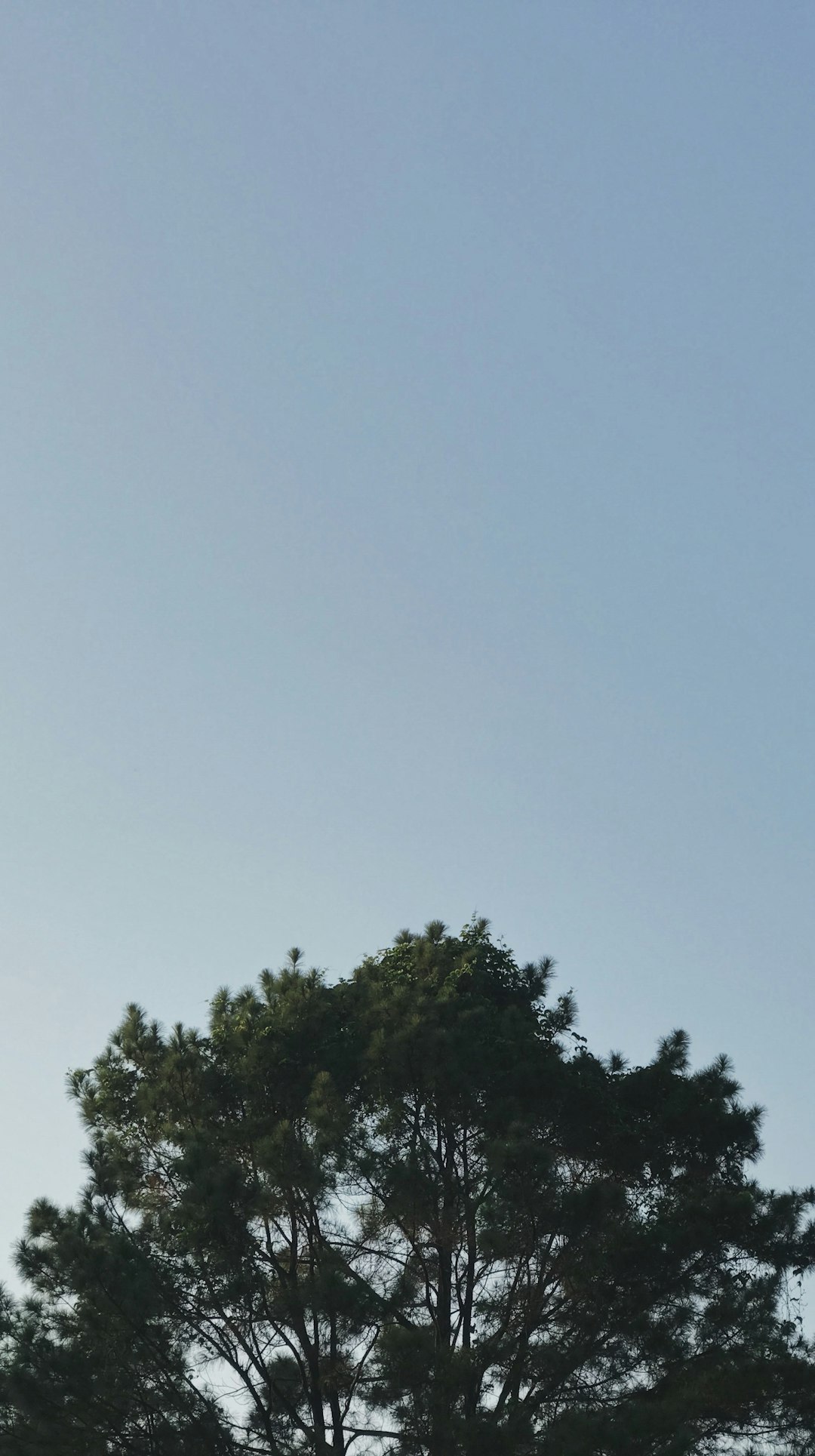 Vacation Home Dreams: Smart Investment & Rental Income Guide