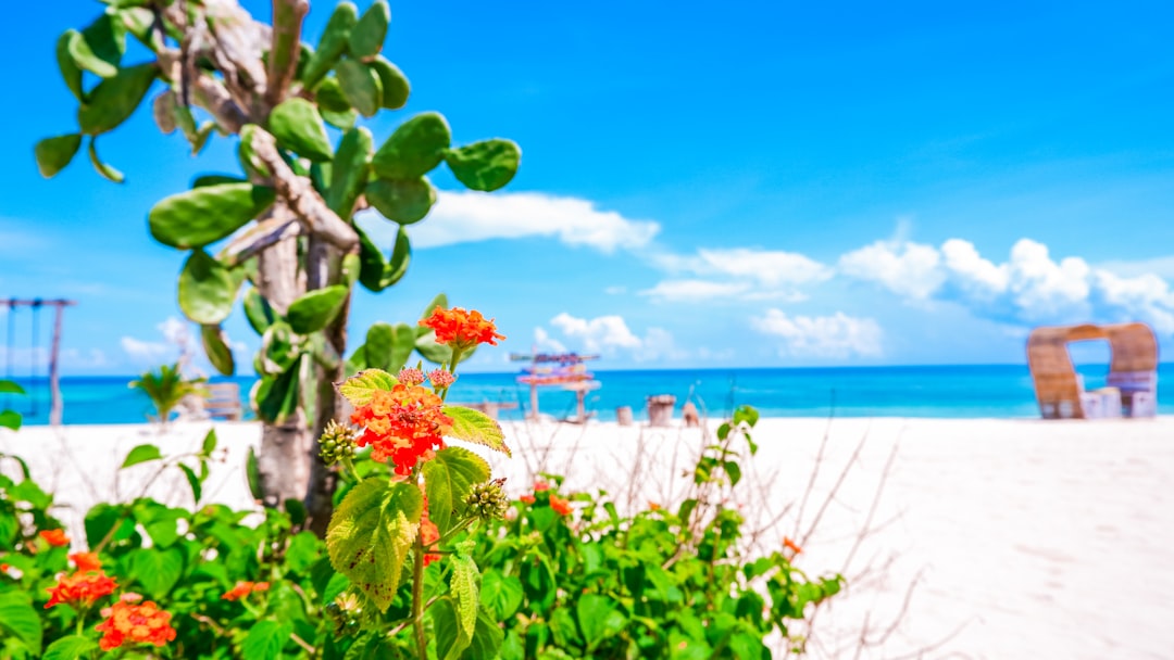 Vacation Home Rentals in Rosemary Beach: Luxury Coastal Escapes