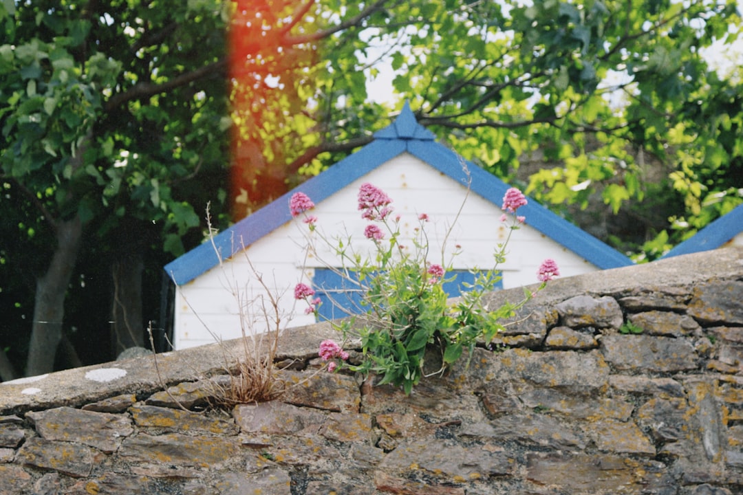 Vacation Home Rentals in Rosemary Beach: Your Ultimate Guide to 30A Bliss